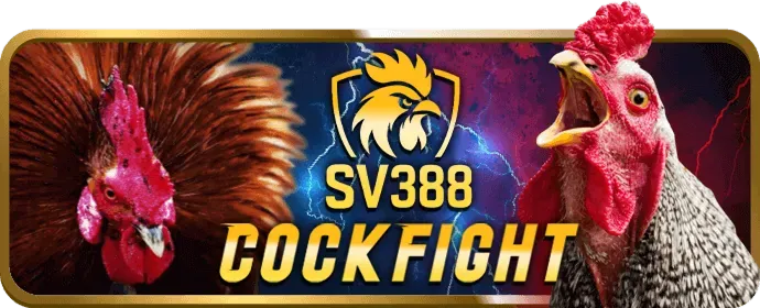 Cấp độ VIP Bạch Kim dv88 chính thức
