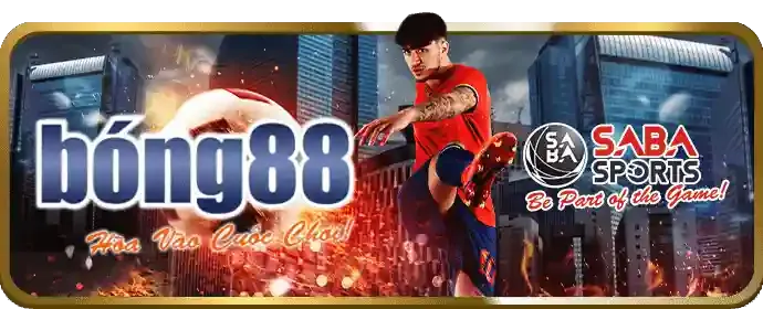 Cấp độ VIP Bạc dv88 chính thức